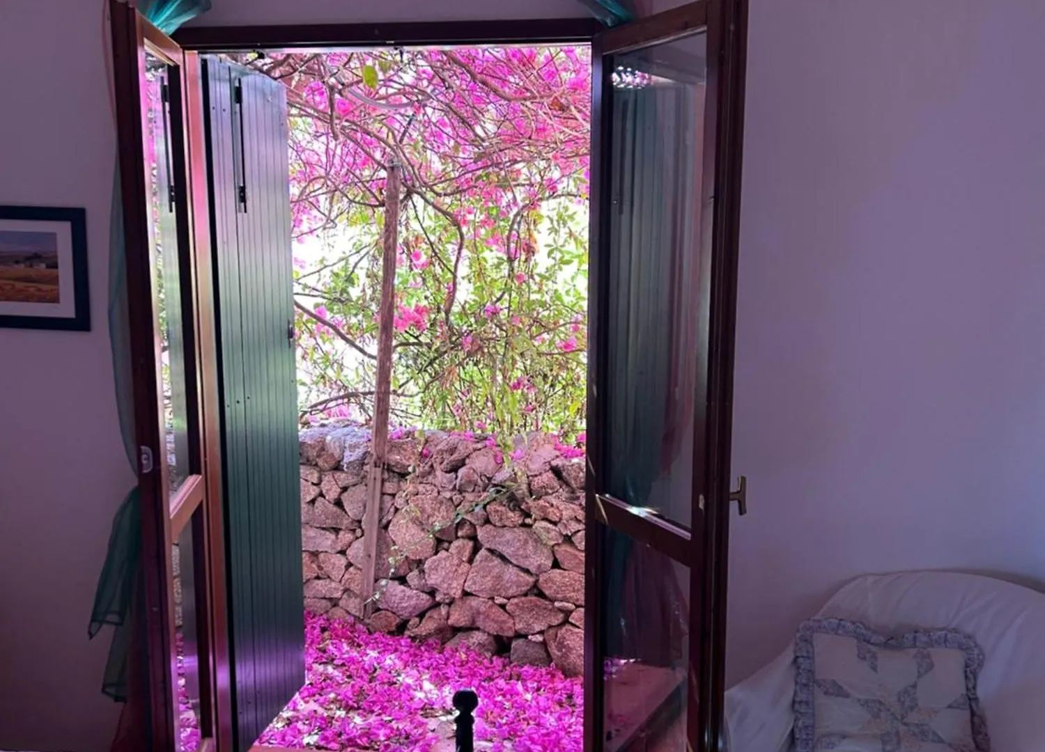 Appartamento Giardino Palau Viale Degli Ulivi, 7